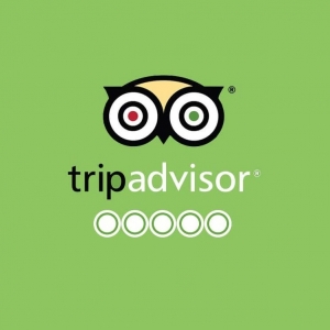 Сертификат качества TripAdvisor 