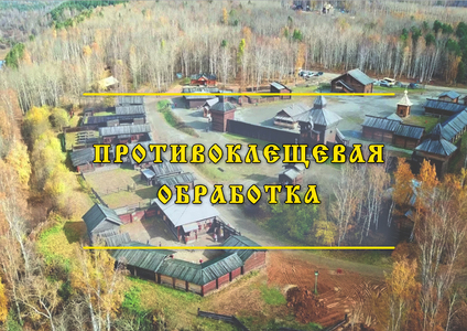 ПРОТИВОКЛЕЩЕВАЯ ОБРАБОТКА 
