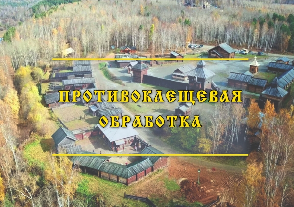 ПРОТИВОКЛЕЩЕВАЯ ОБРАБОТКА 